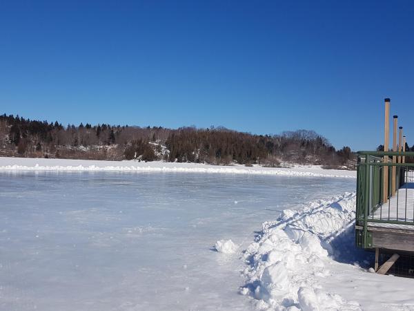 Lily Lake - Winter