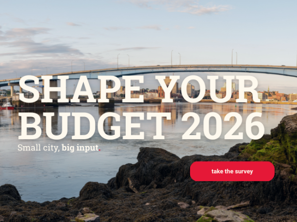 shape your budget 2026