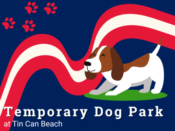 Temporary Dog Park at Tin Can Beach