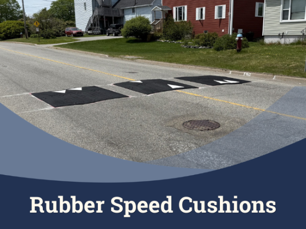 Rubber Speed Cushions