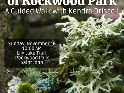 Lichen Walk.png