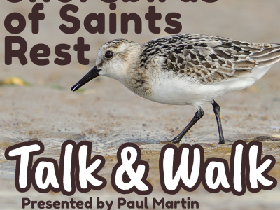 SCEP 2025 Talk & Walk (Instagram Post (45)).png
