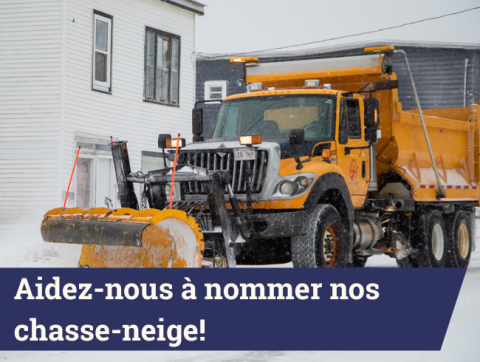 Aidez-nous a nommer nos chasse-neige