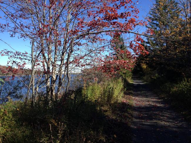 Spruce Lake Trail in Fall