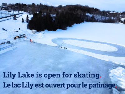 Lily Lake